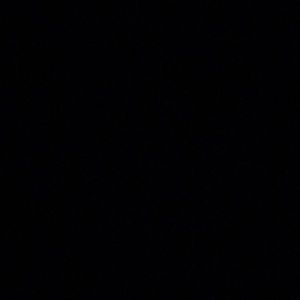 Meet your Posher, Kyla